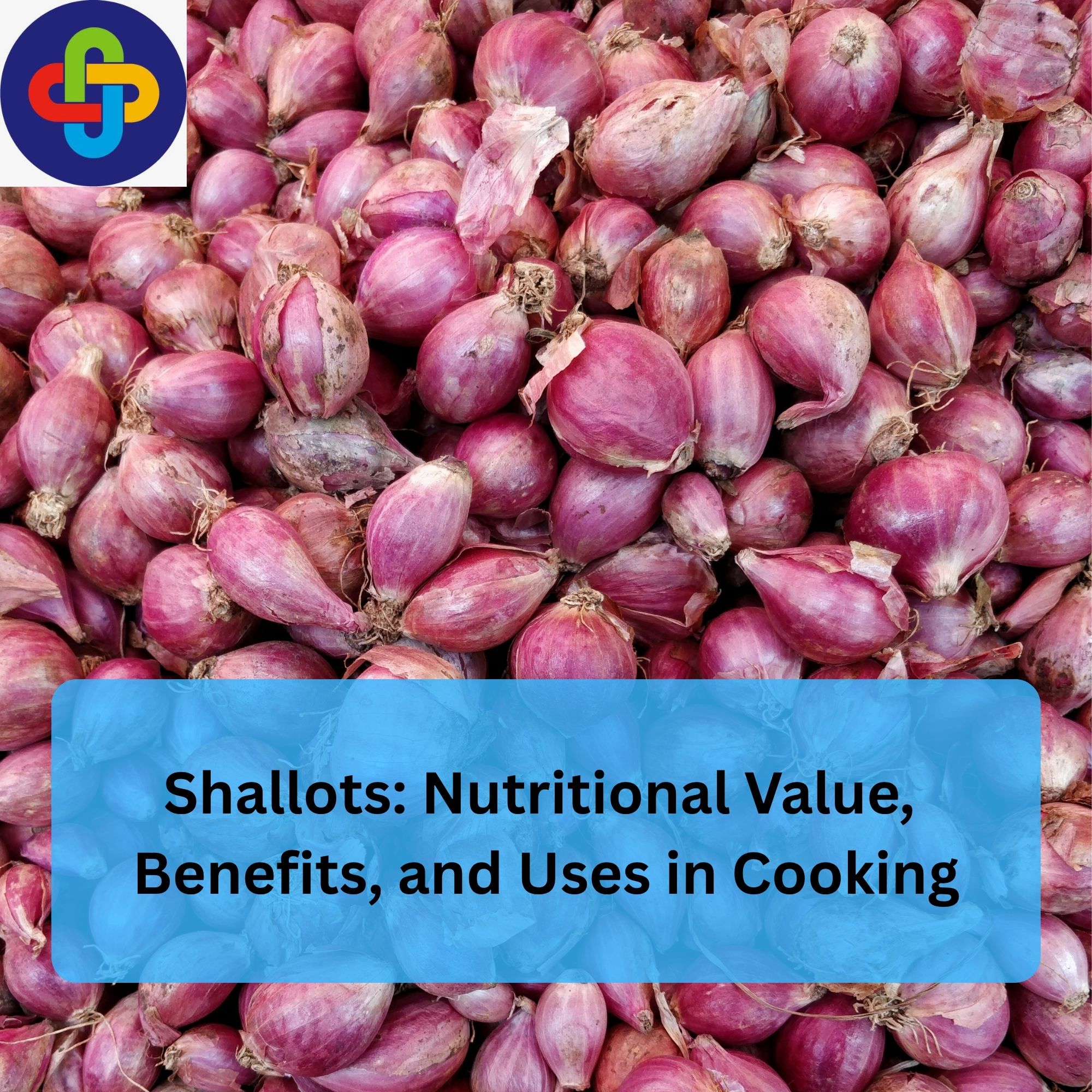  Shallots: Nutritional Value, Benefits, and Uses in Cooking